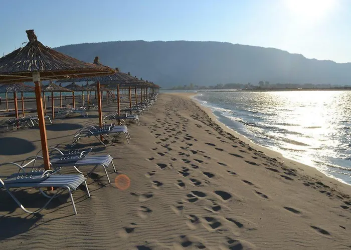 Apartament Pelinku *